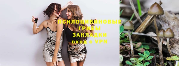 дмт Балахна