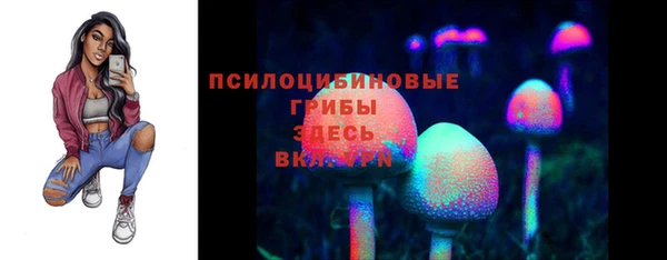 сатива Белоозёрский