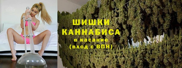 сатива Белоозёрский