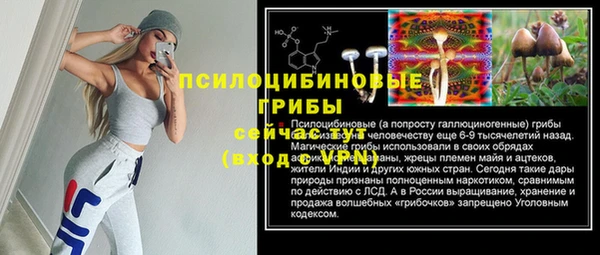 сатива Белоозёрский