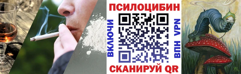 Псилоцибиновые грибы ЛСД  Купить где  Славянск-на-Кубани 